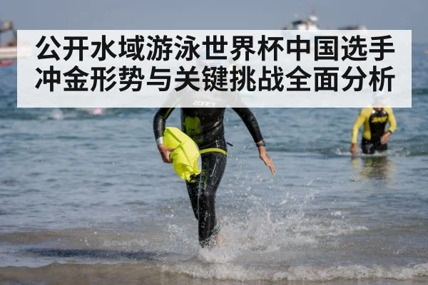 公开水域游泳世界杯中国选手冲金形势与关键挑战全面分析